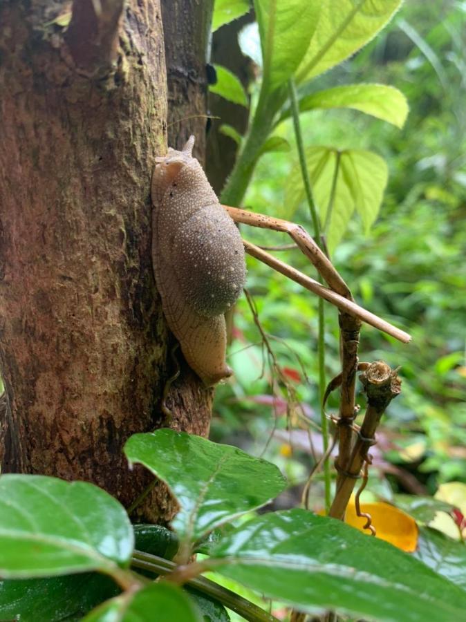 Aroma Cat Ba Sea View Hotel Chan Chau 外观 照片